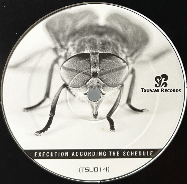 Execution According The Schedule EP