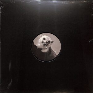 Surface Erosion EP